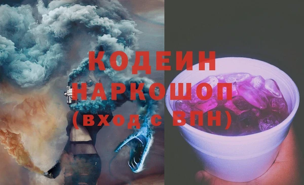 таблы Бородино