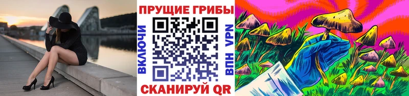 Купить закладки  Невьянск  Галлюциногенные грибы GOLDEN TEACHER 